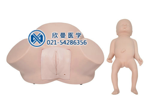 助產(chǎn)模型，助產(chǎn)示教模型
