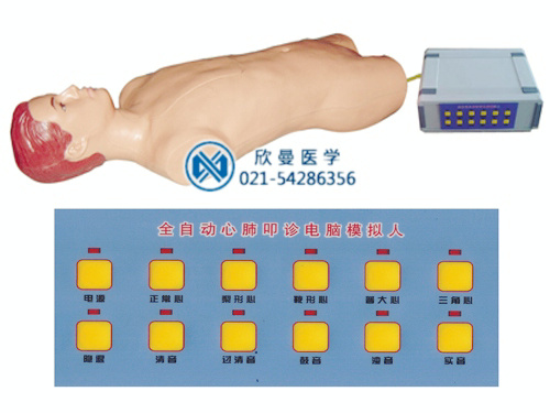 心肺叩診電腦模擬人