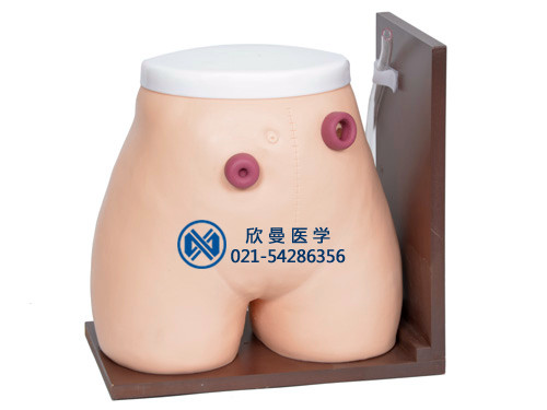 瘺管造口術(shù)護(hù)理模型