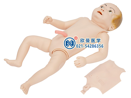 XM-YEH高級(jí)嬰兒護(hù)理人模型,高級(jí)嬰兒護(hù)理模擬人,組合式新生兒護(hù)理模型