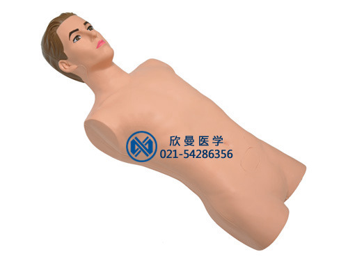 全功能靜脈穿刺仿真標(biāo)準(zhǔn)化病人,靜脈穿刺模擬人