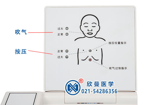 新生兒窒息復(fù)蘇模型電子顯示器