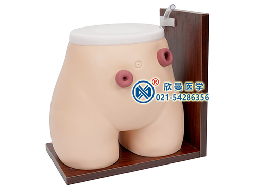 瘺管造口術(shù)護(hù)理模型