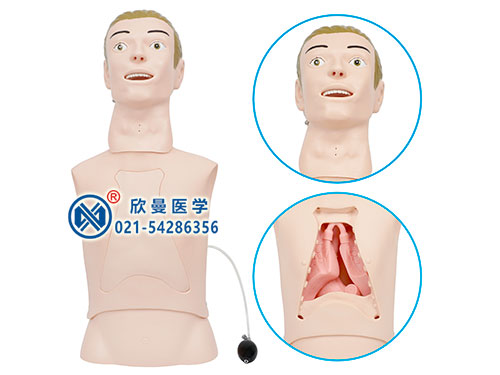 XM-BQ高級(jí)鼻胃管與氣管護(hù)理模型,鼻飼模型